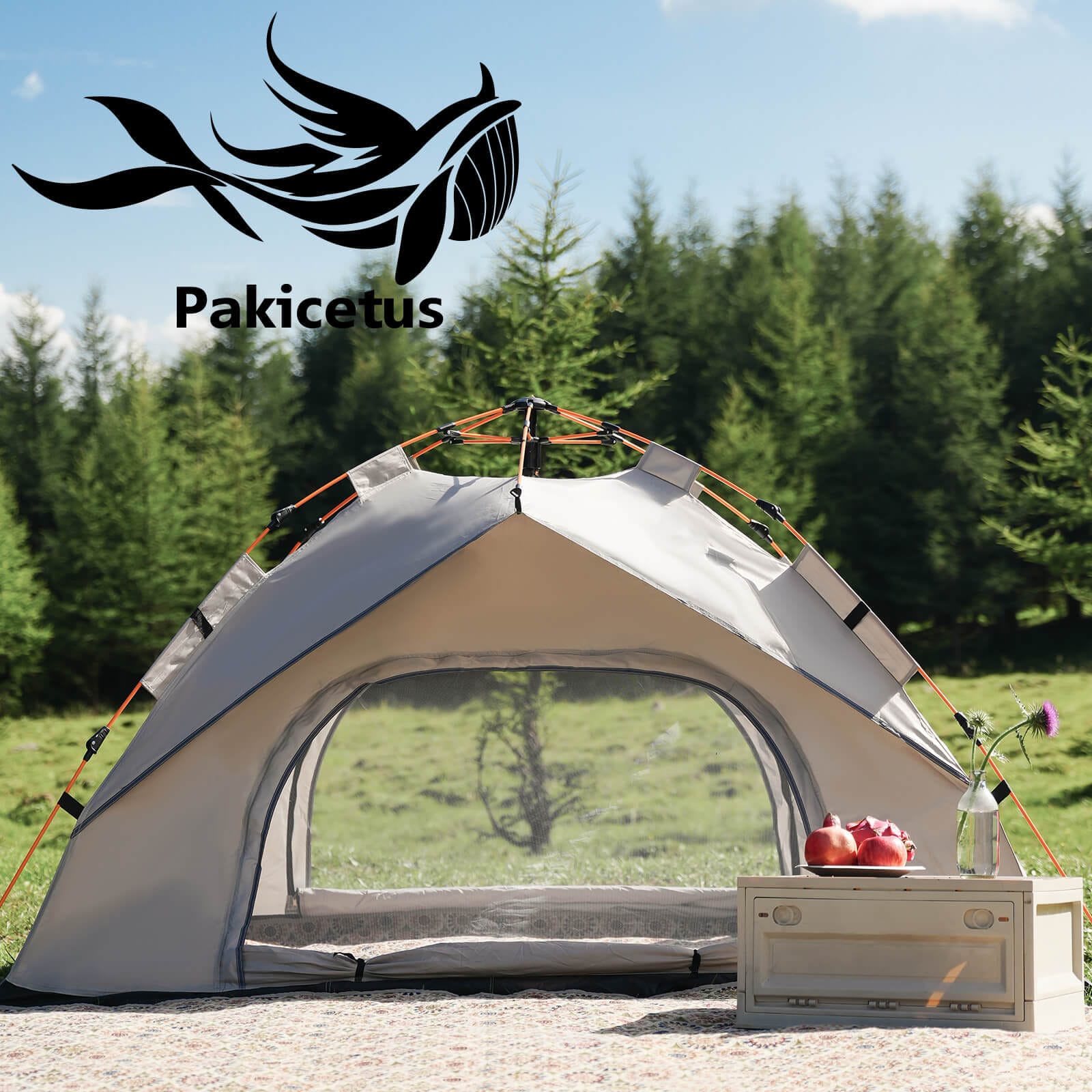 Instant Pop Up Camping Tent for 2–3 Person